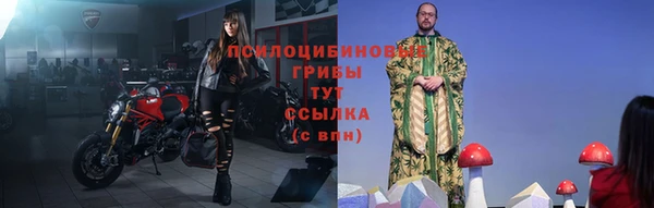 ГАЛЛЮЦИНОГЕННЫЕ ГРИБЫ Зеленокумск