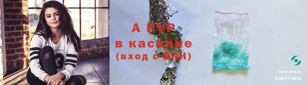a pvp Инта