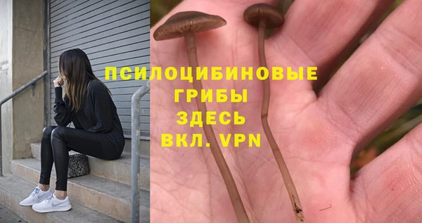 ГАЛЛЮЦИНОГЕННЫЕ ГРИБЫ Зеленокумск